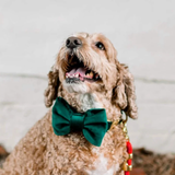 Foggy Dog Forest Green Velvet Dog Bow Tie