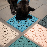 Dog on a blue textured mat with other mats in the background