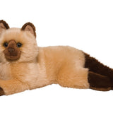 Douglas Sebastian Himalayan Cat