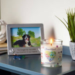 Memorial candle with floral design on a shelf with a framed photo of a dog and a plant.