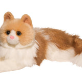 Douglas Kiki Ragdoll