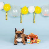 Fringe Pack Your Bags Interactive Dog Toy