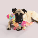 Fringe Rainbow Dragon Plush Dog Toy