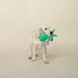 Fringe Shark Week Rex Plush Dog Toy