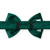 Foggy Dog Forest Green Velvet Dog Bow Tie
