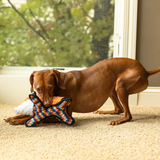 ROCT Sly Fox Dog Toy