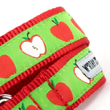 The Worthy Dog Apples Dog Collar