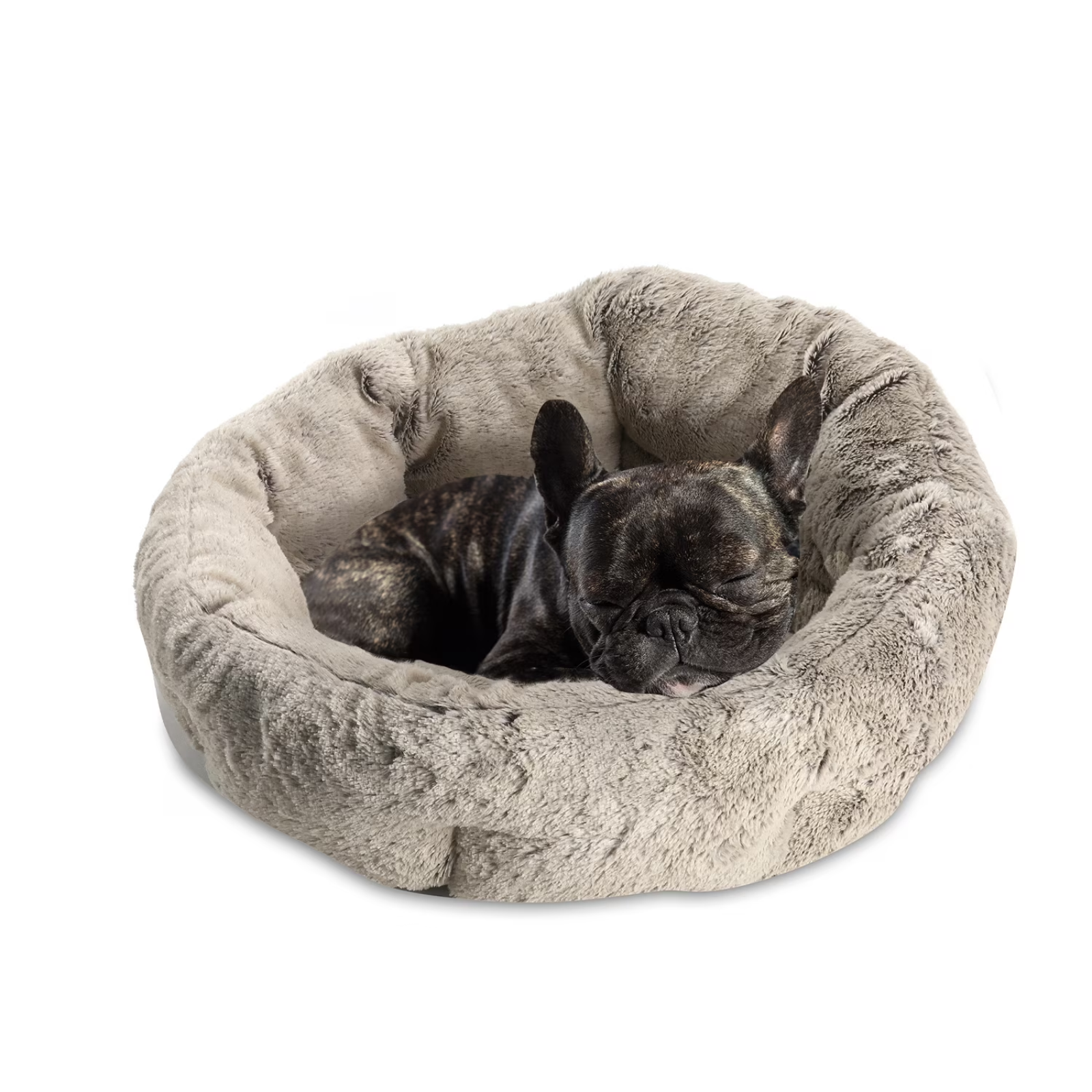 Dog resting in a plush donut bed on a white background