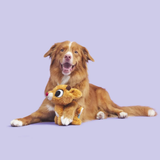 Bark Rudolph the Red-Nosed Reindeer Dog Toy