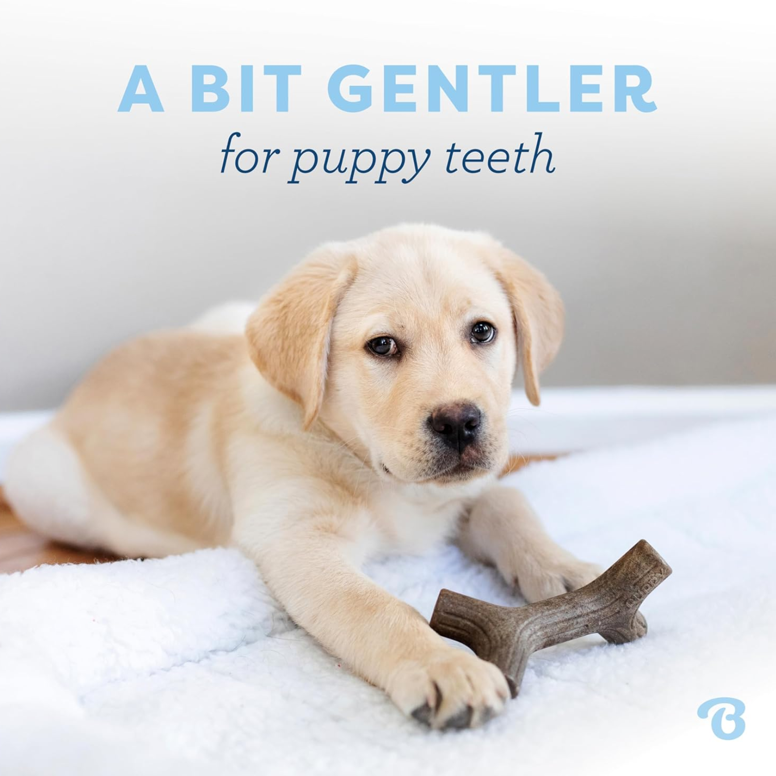 Puppy chewing on a treat with text 'A Bit Gentler for Puppy Teeth' on a light background