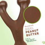 Brown dog chew toy with 'Real Peanut Butter' flavor text and Benebone branding.