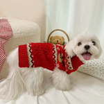 White dog wearing a red sweater with a teddy bear in the background