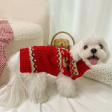 White dog wearing a red sweater with a teddy bear in the background