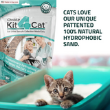 CheckUp Kit 4 Cat packaging with a kitten in a litter box, highlighting the product's features.