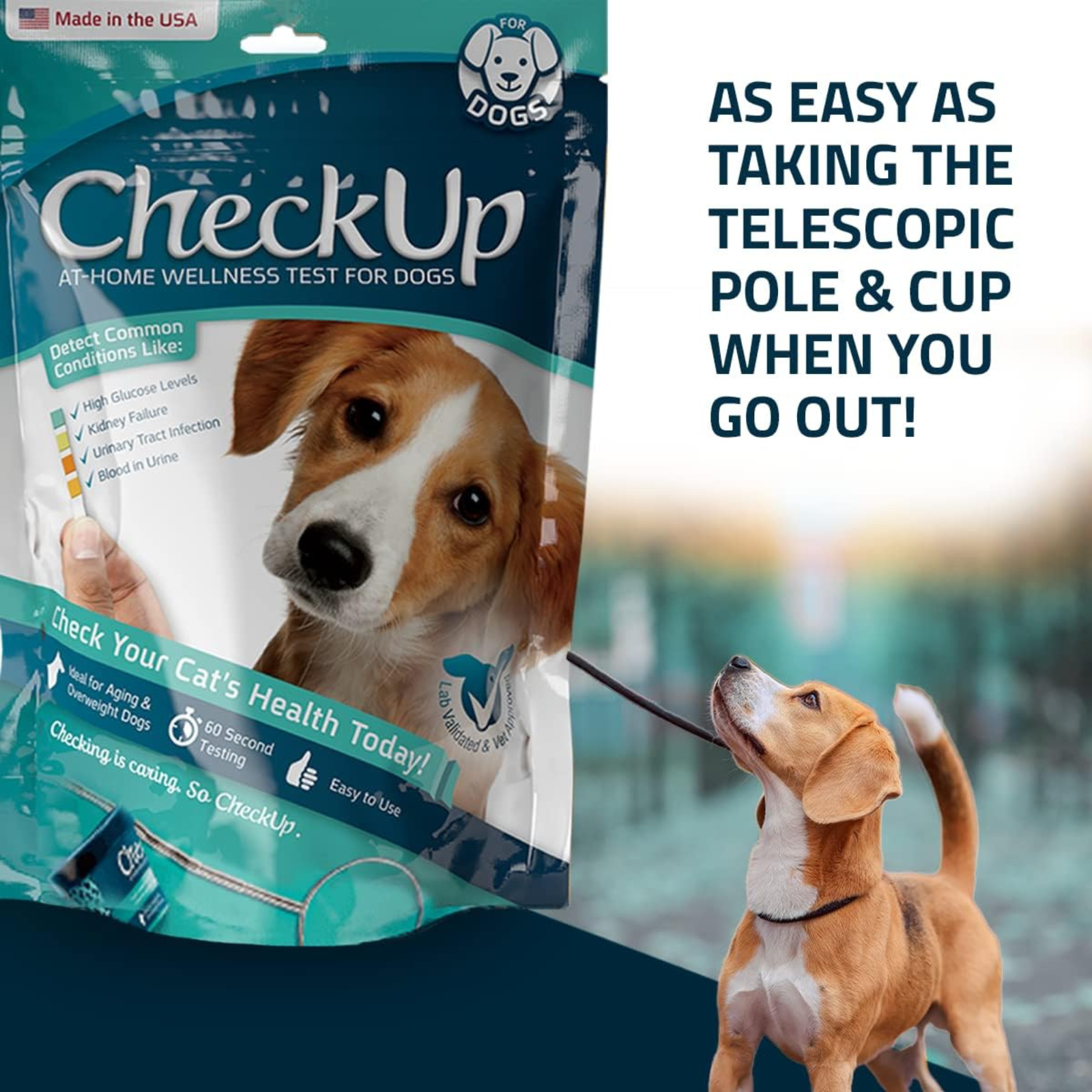 CheckUp at-home wellness test for dogs packaging with a dog on a dock in the background