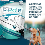 CheckUp P-Pole dog urine sample collection kit with a dog looking at water in the background