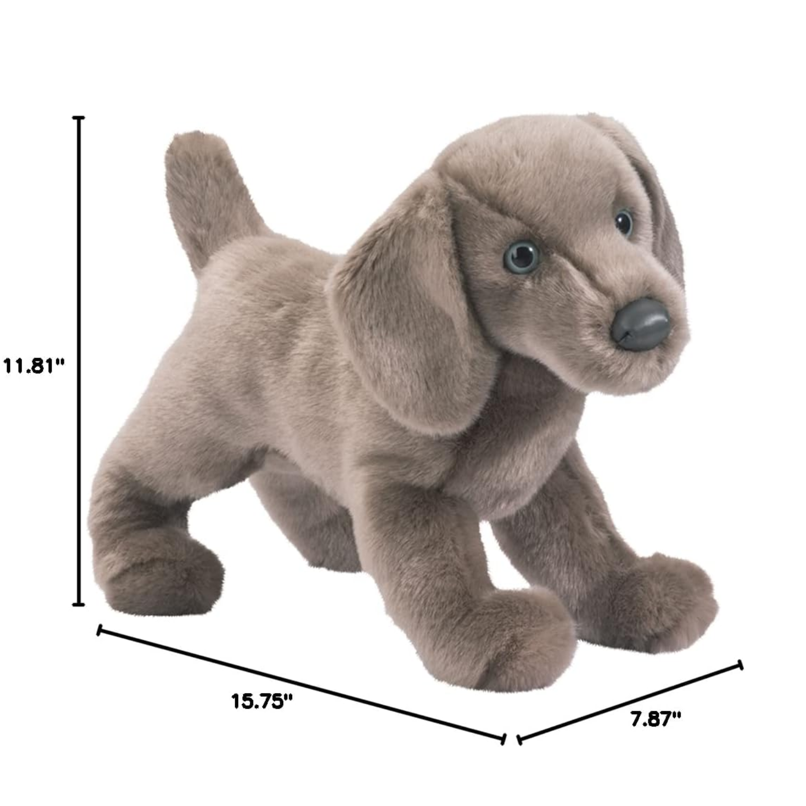 Plush dog toy with measurements on a white background