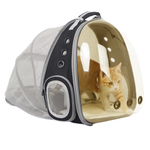 A clear and gray mesh pet carrier backpack with an orange tabby kitten inside, shown against a solid white background.