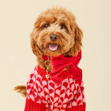 Foggy Dog Cranberry Velvet Lady Dog Bow