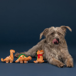Dog with dinosaur toys on a dark blue background