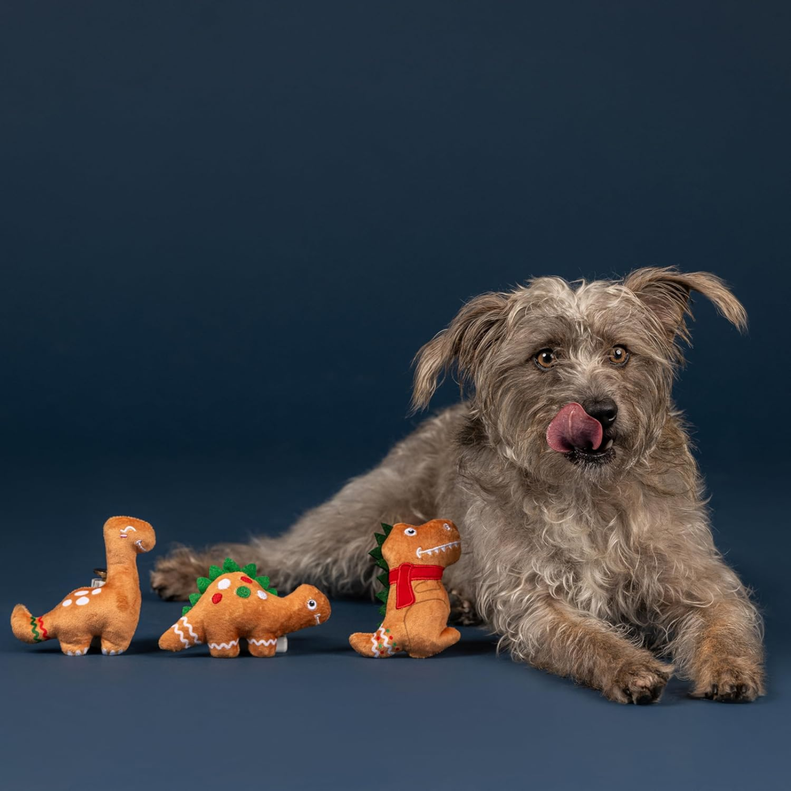 Dog with dinosaur toys on a dark blue background