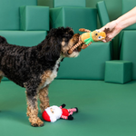 Dog playing with a toy held by a person against a green background