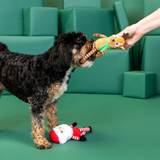 Dog playing with a toy held by a person against a green background