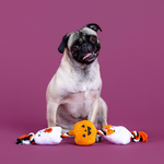 A fawn and black pug sits on a solid purple background, surrounded by three Halloween-themed plush dog toys: a white ghost, an orange jack-o'-lantern, and a white ghost with orange tassels.