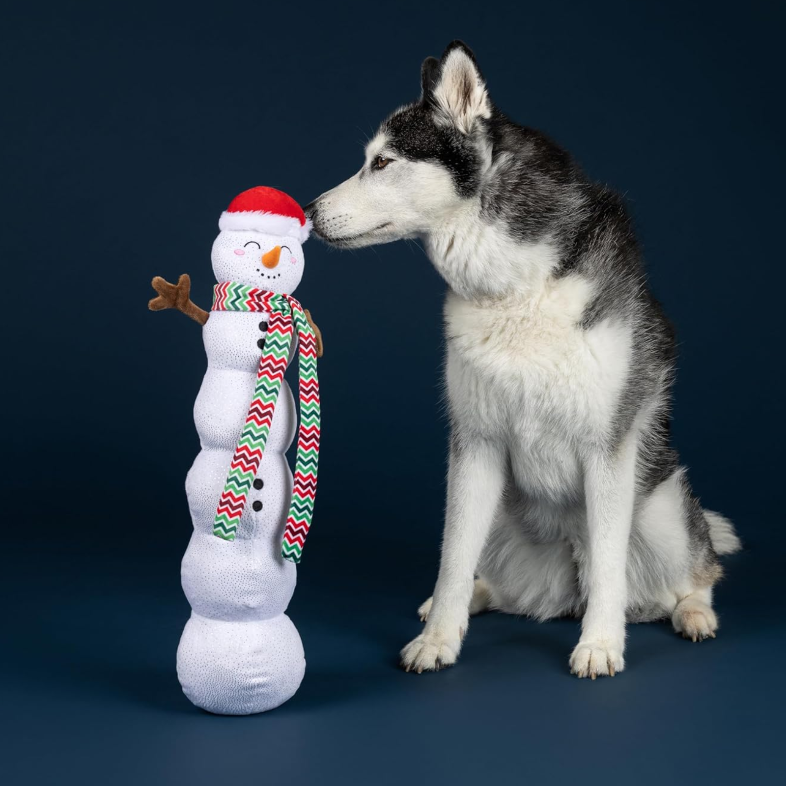 Dog playing with a snowman-shaped toy on a dark background