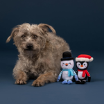 Dog sitting next to two plush toys on a dark blue background