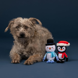 Dog sitting next to two plush toys on a dark blue background