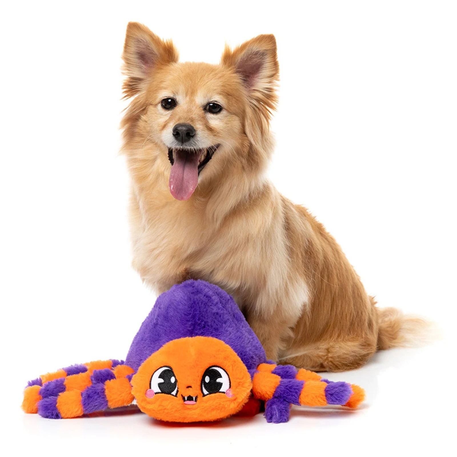 A small fluffy tan dog sits behind a plush spider toy on a clean white background. The spider toy is orange with purple legs and a purple top, featuring a cute cartoon face.