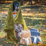 HuggleHounds Scout Blankie 30x40