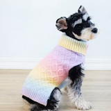 Dog wearing a colorful sweater on a light wooden floor.