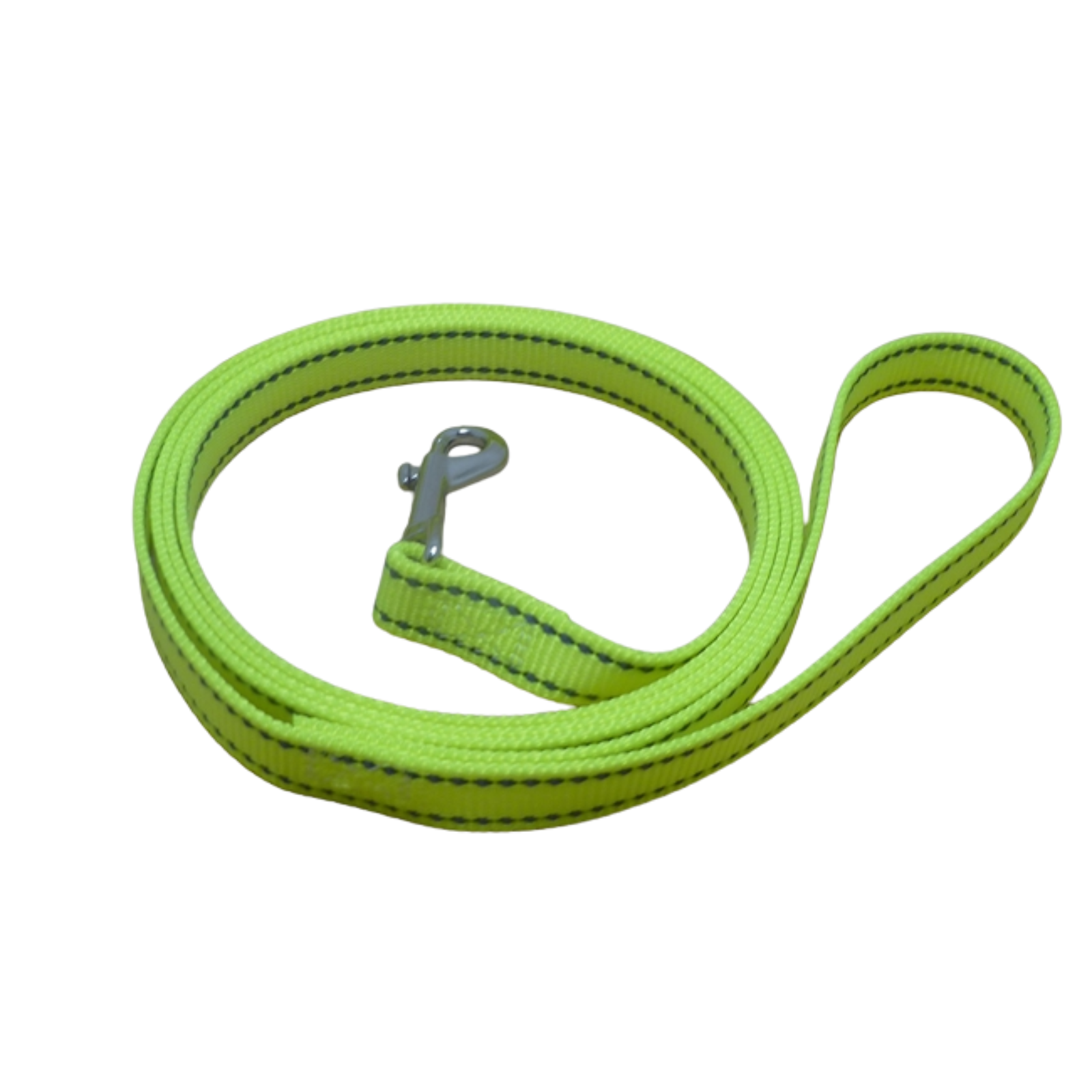 Green dog leash with a metal clip on a white background