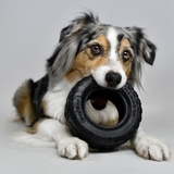 Mammoth Tirebiter II