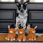 Three fluffy brown plush Highland cows wearing black witch hats sit on a tan doormat in front of a black front door, with a black, white, and tan dog sitting behind them.