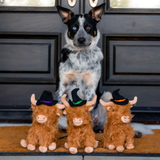 Three fluffy brown plush Highland cows wearing black witch hats sit on a tan doormat in front of a black front door, with a black, white, and tan dog sitting behind them.