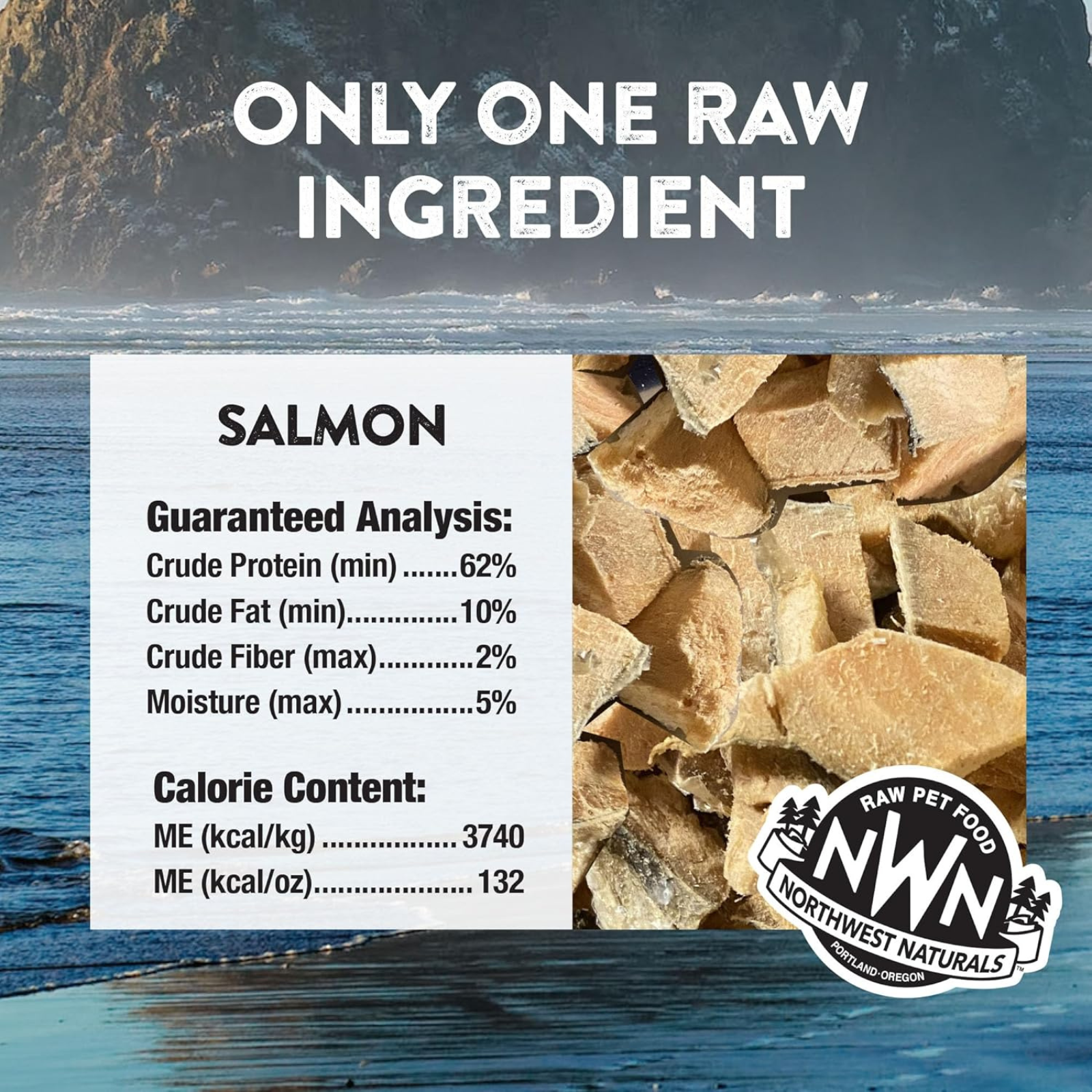 Product label for raw pet food with salmon chunks and Northwest Naturals branding.