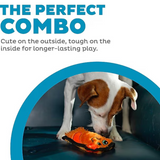 Dog playing with a toy, text 'The Perfect Combo' on a white background