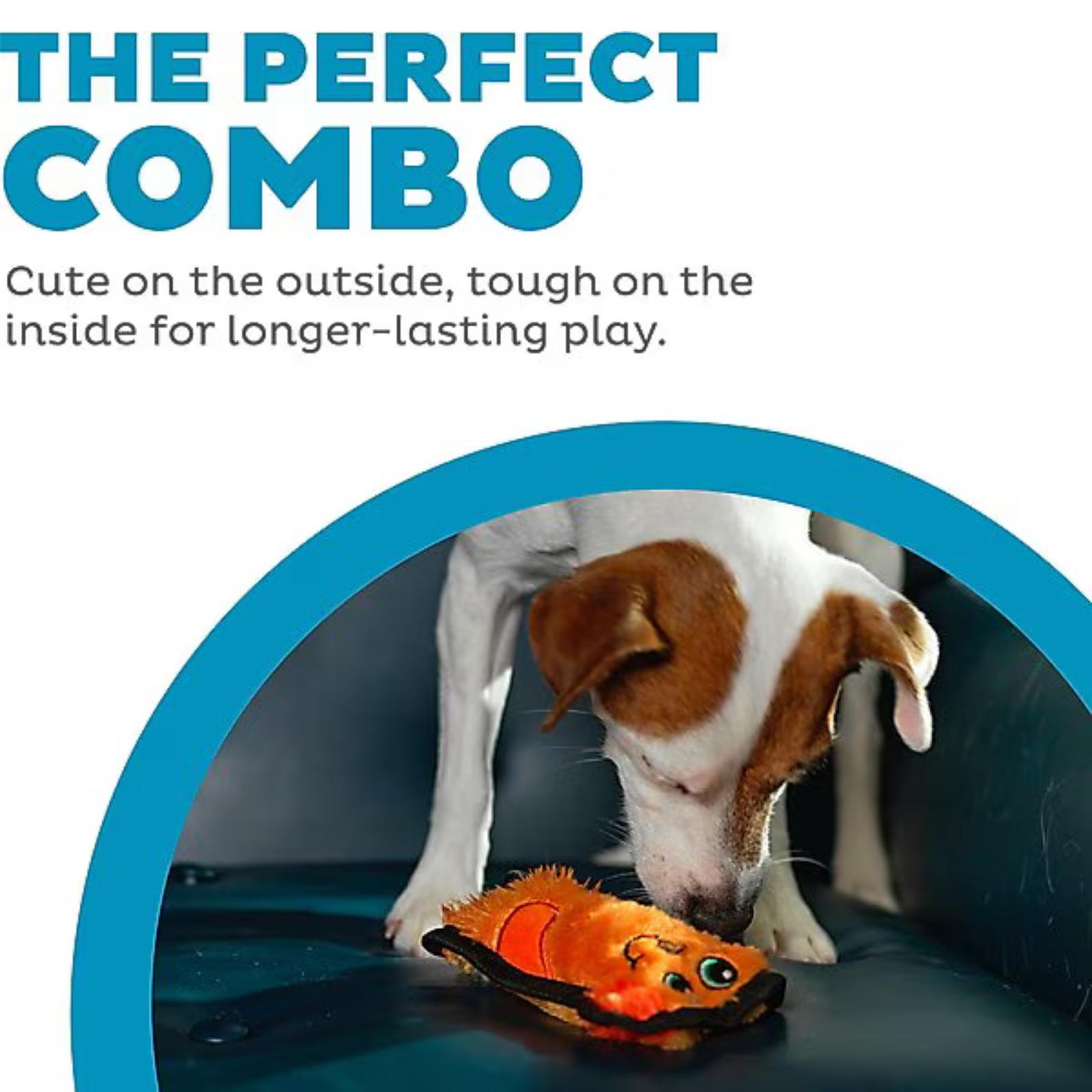 Dog playing with a toy, text 'The Perfect Combo' on a white background