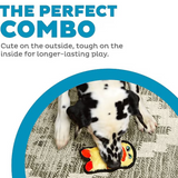 Dog playing with a toy, text about durability and playtime