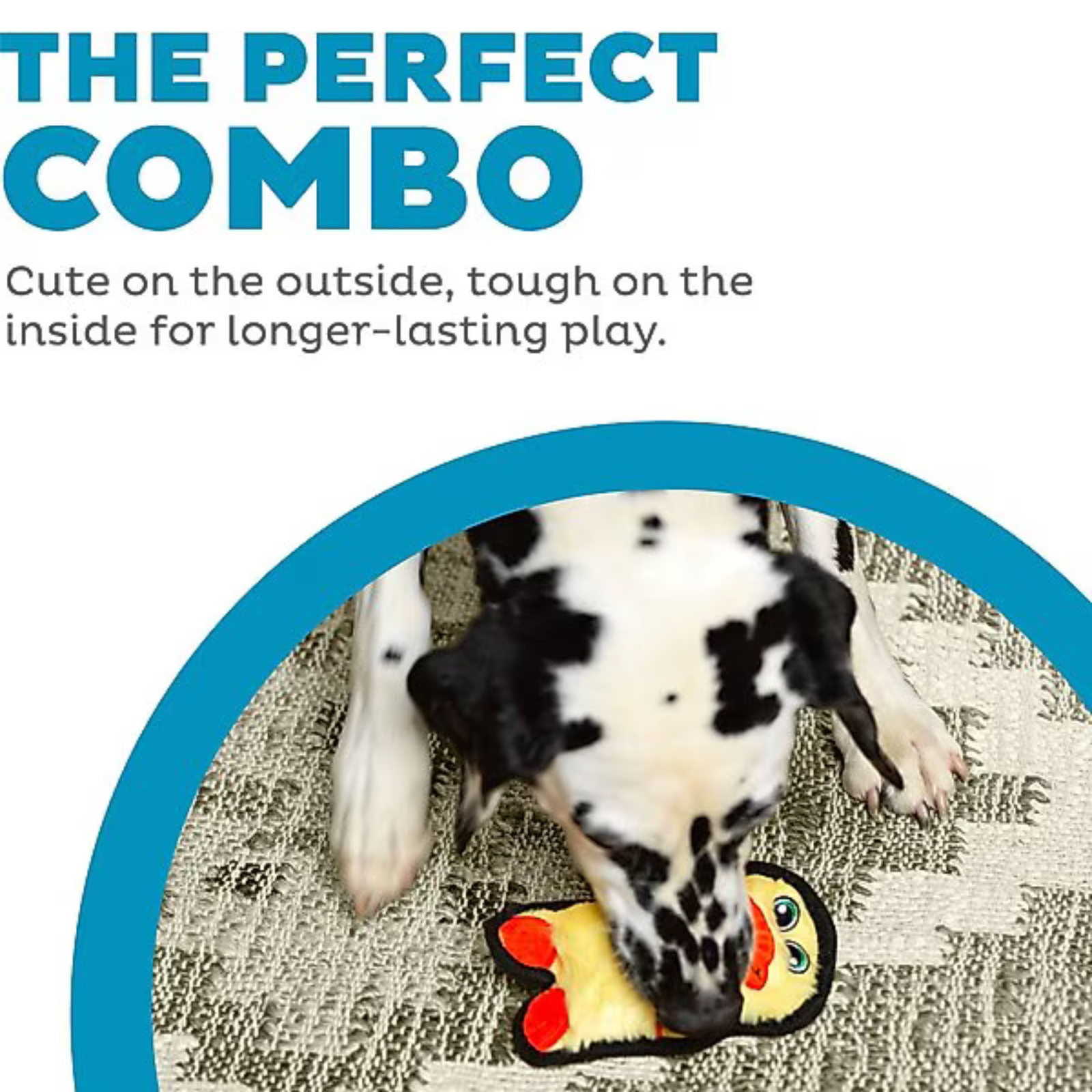 Dog playing with a toy, text about durability and playtime