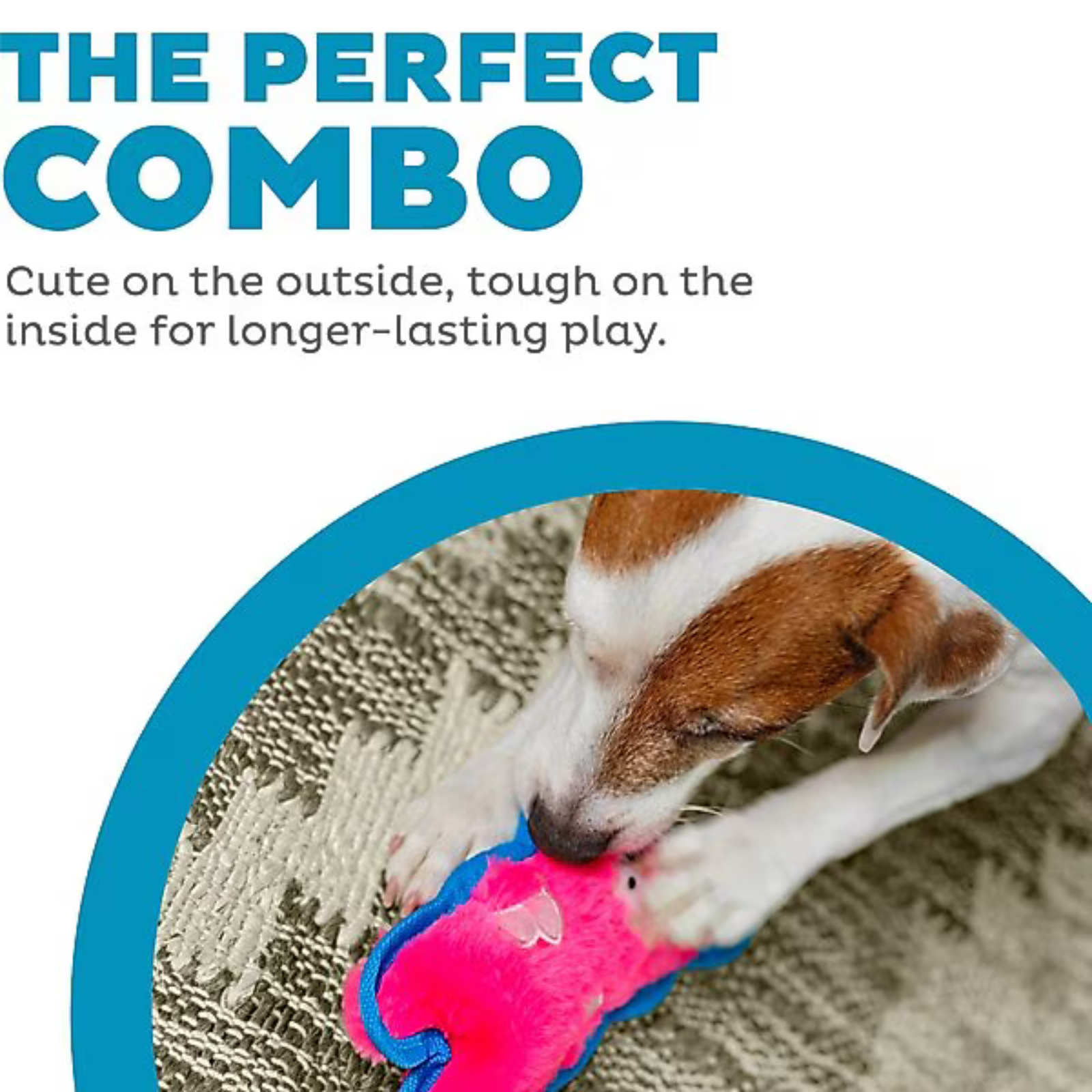 Dog playing with a pink and blue toy on a textured surface, with text about the product's durability.