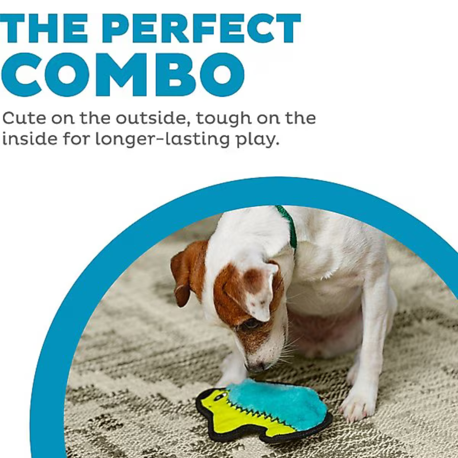 Dog playing with a toy, text about durability and playtime on a white background