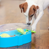 Outward Hound Paw n Play Blue Small