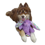 Petlou Classic Bunnt 9in