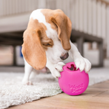 West Paw Rumbl Small