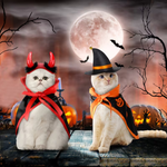 Two cats dressed in Halloween costumes sitting on a wooden surface against a spooky Halloween backdrop with a full moon, bats, jack-o'-lanterns, and bare tree branches. One cat wears a devil costume with red horns and a red cape, and the other wears a witch hat and orange-trimmed black cape.