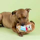 Fringe Be Cool Be Hedgy Dog Toy